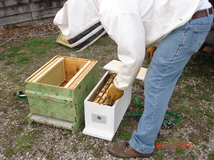 Processing Wax In a Crock Pot - Show Me The Honey! - Christopher Beeson -  Beekeeper Blog - St Louis Missouri