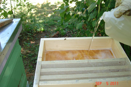 Bee Hive Top Feeder