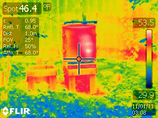 IR Image BeeHive