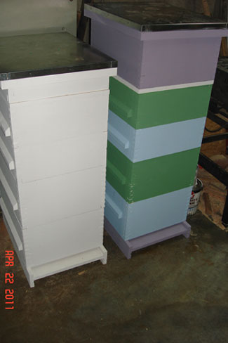 Painted Hives